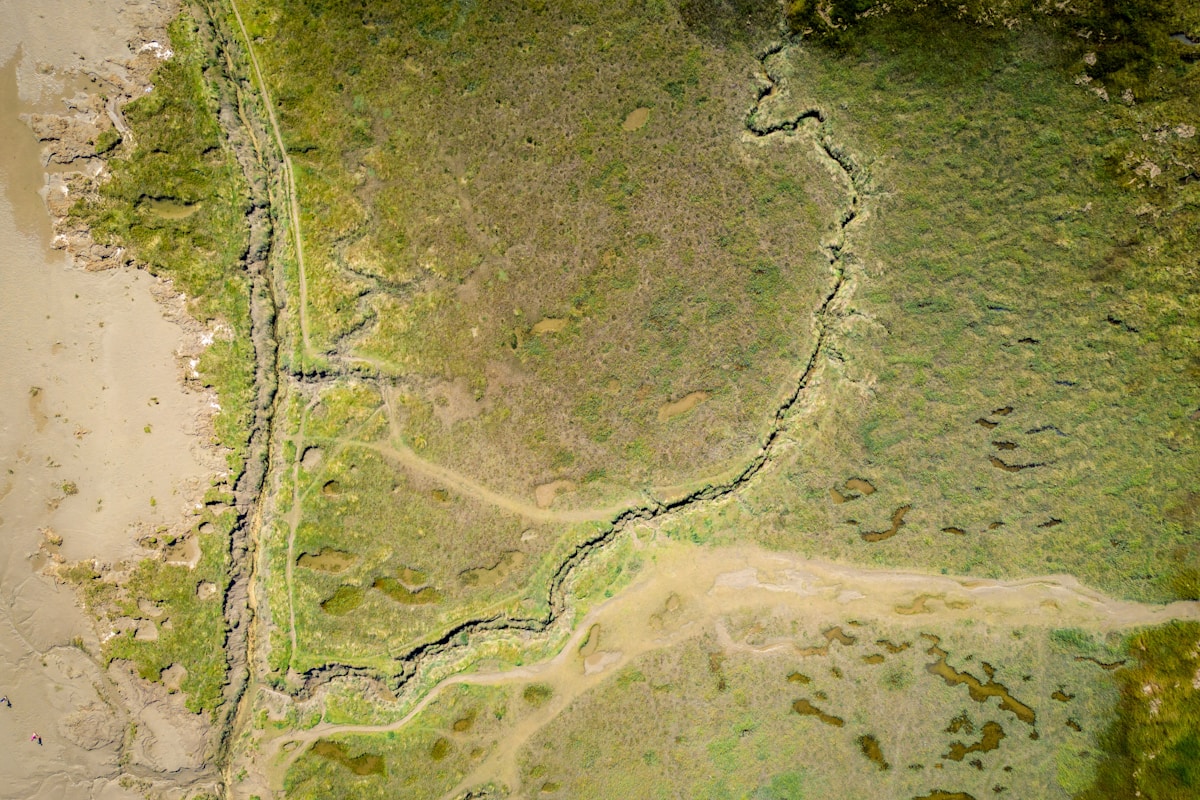 Aerial orthomosaic showing detailed trail network from above