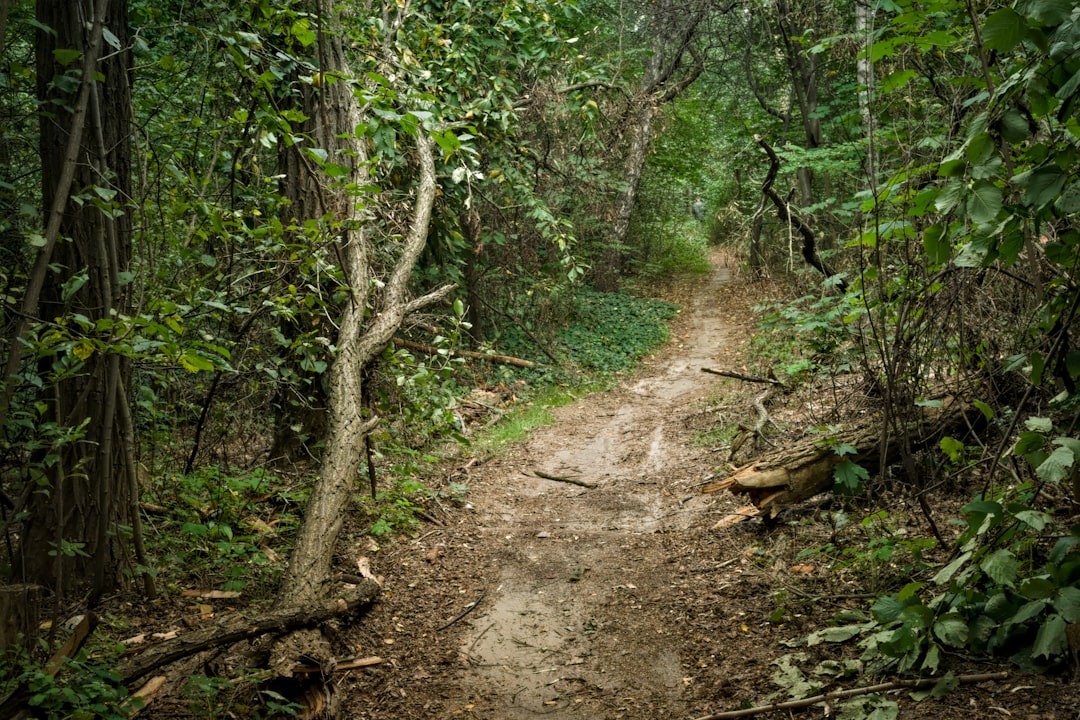 Eroded Trail